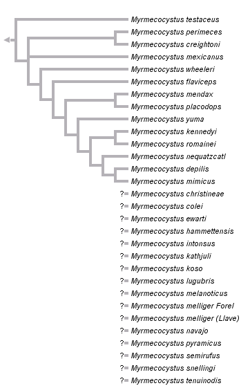 taxon links