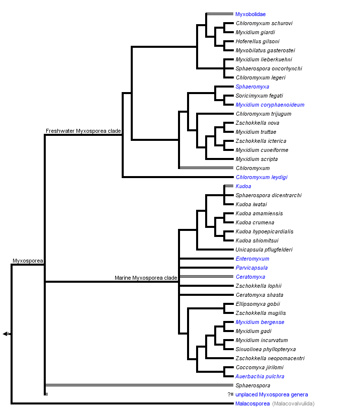 taxon links