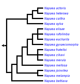 taxon links