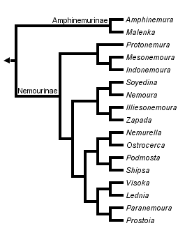 taxon links