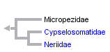 taxon links