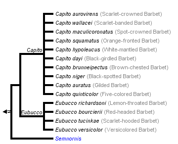 taxon links