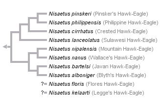 taxon links