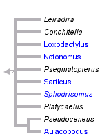 taxon links