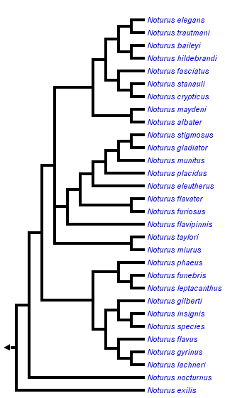 taxon links