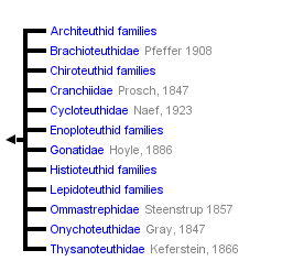 taxon links