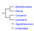 taxon links