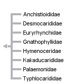 taxon links