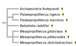 taxon links