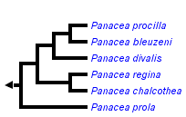 taxon links