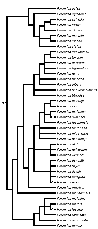 taxon links