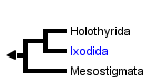 taxon links