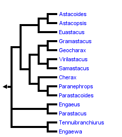 taxon links