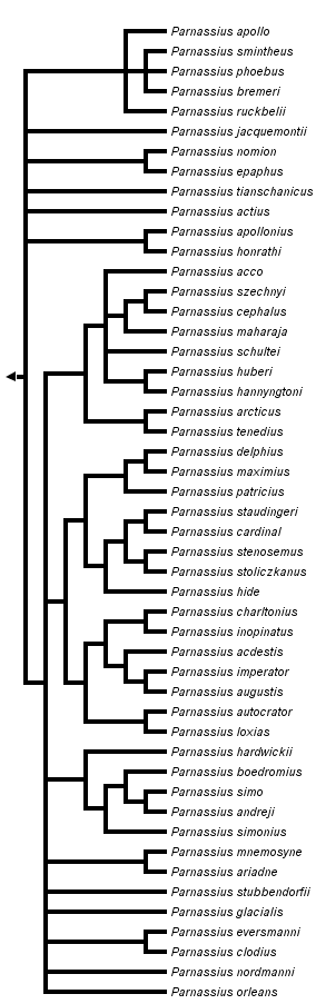 taxon links