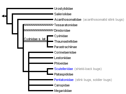 taxon links