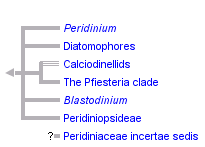 taxon links