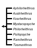 taxon links