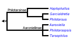 taxon links