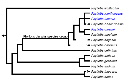 taxon links