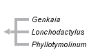 taxon links