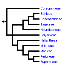 taxon links