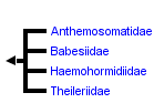 taxon links