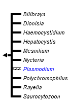 taxon links