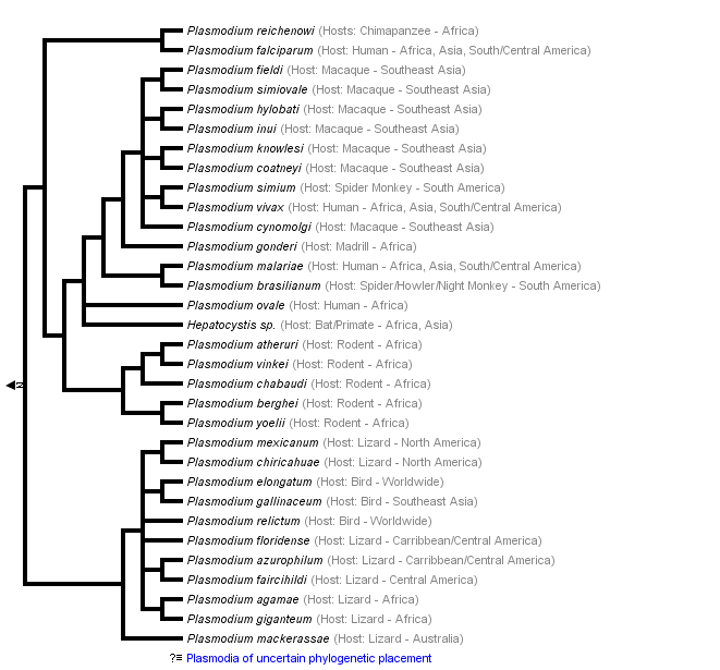 taxon links