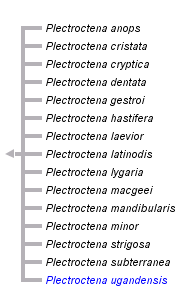 taxon links