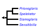 taxon links