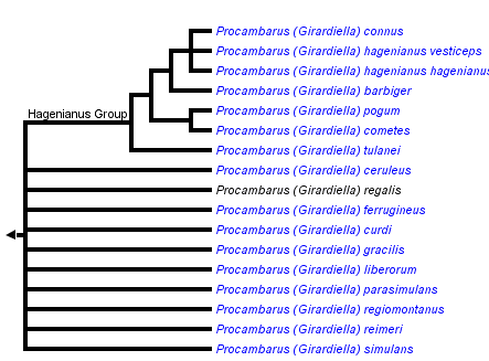 taxon links