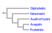 taxon links