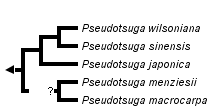 taxon links