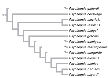 taxon links