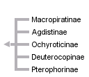 taxon links