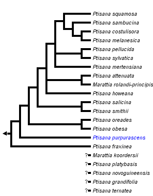 taxon links