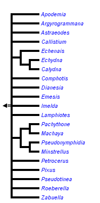 taxon links