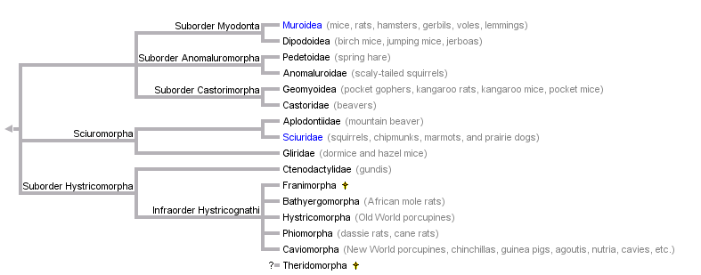 taxon links