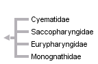 taxon links