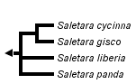 taxon links