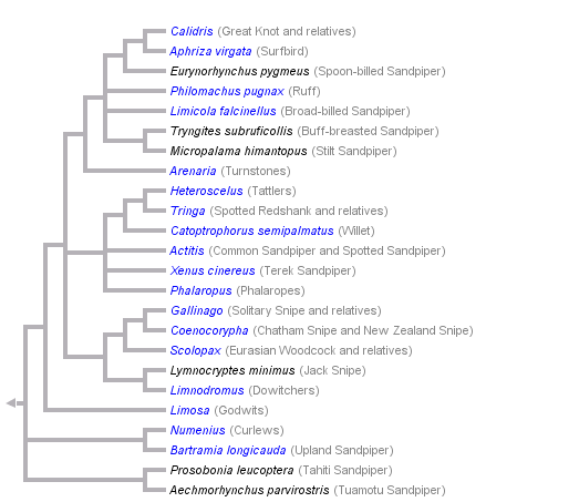 taxon links