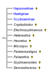 taxon links