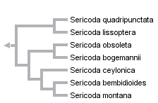 taxon links