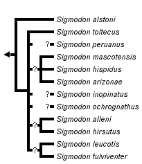 taxon links