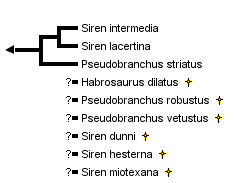 taxon links