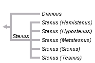 taxon links