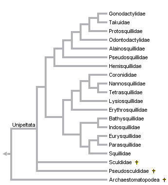 taxon links