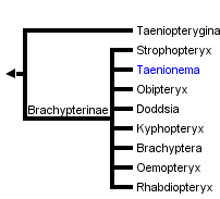 taxon links