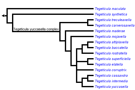 taxon links