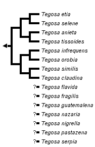 taxon links